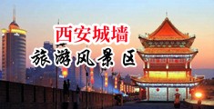 黑人大鸡巴草亚洲女孩视频中国陕西-西安城墙旅游风景区